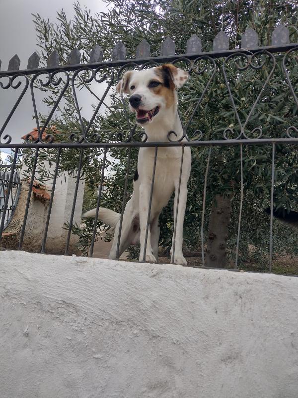 Ciao a tutti da Robin (Catania) Foto 3